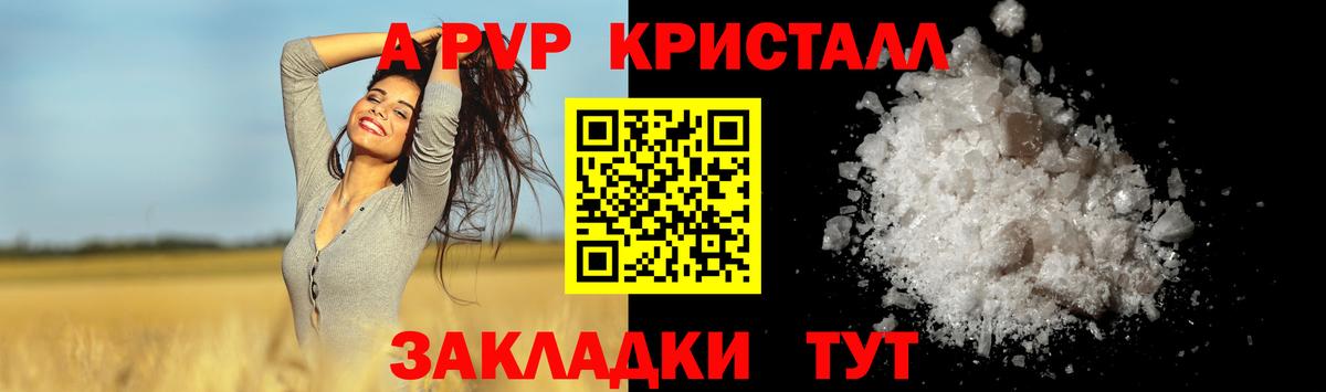 A PVP VHQ Гай