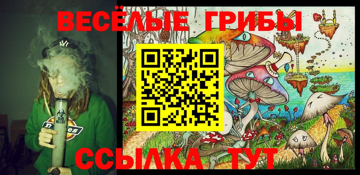 Псилоцибиновые грибы Magic Shrooms Гай